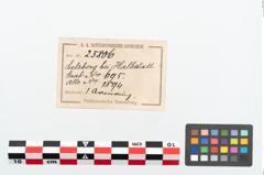Etikett zu Bronzearmreif (NHMW-PRAE-025806)